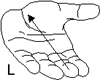 L. Een lange streek over de hele hand van de top van de middelvinger tot aan de pols.